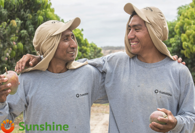 ¡Postula a Sunshine Export!